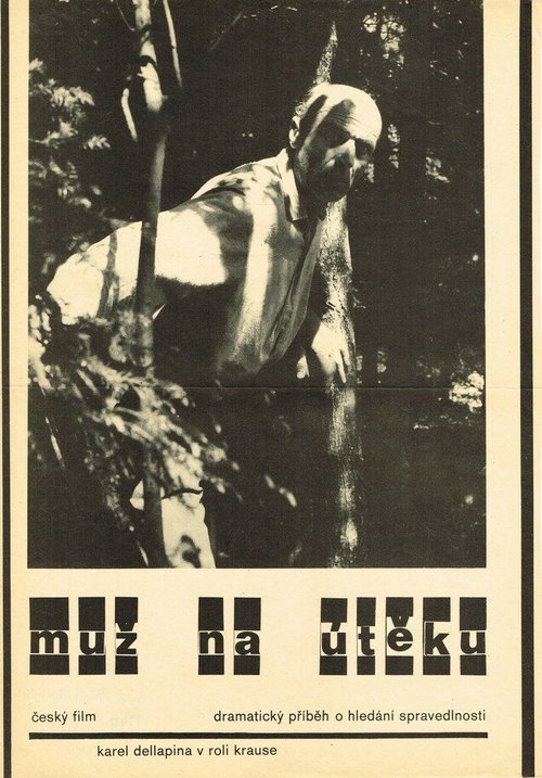 Постер Muz na úteku