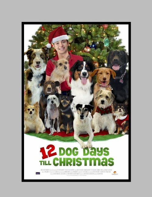 Постер 12 Dog Days of Christmas