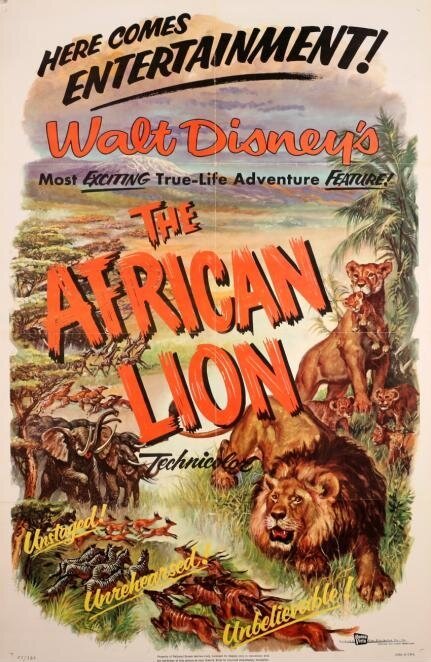 Африканский лев скачать фильм торрент