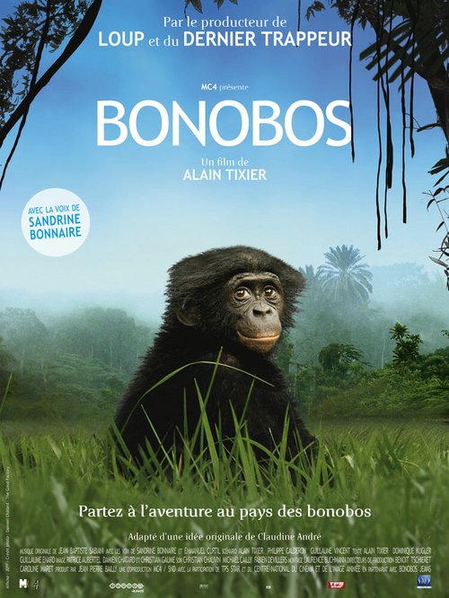 Постер Бонобо