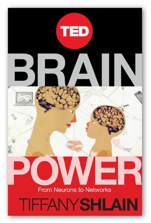 Постер Brain Power: From Neurons to Networks