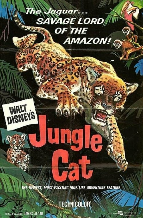 скачать Дикая кошка джунглей через торрент
