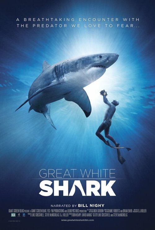 Постер Great White Shark