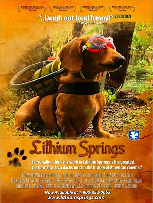 Постер Lithium Springs