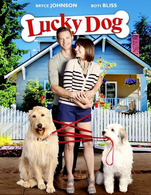 Постер Lucky Dog