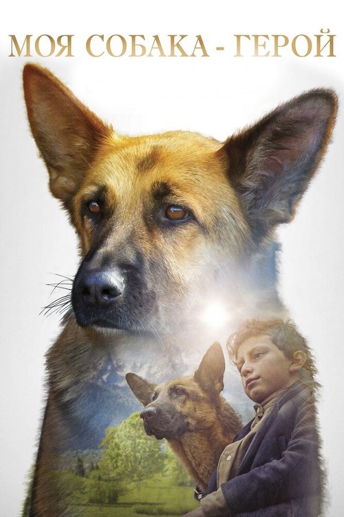 Постер Моя собака — герой