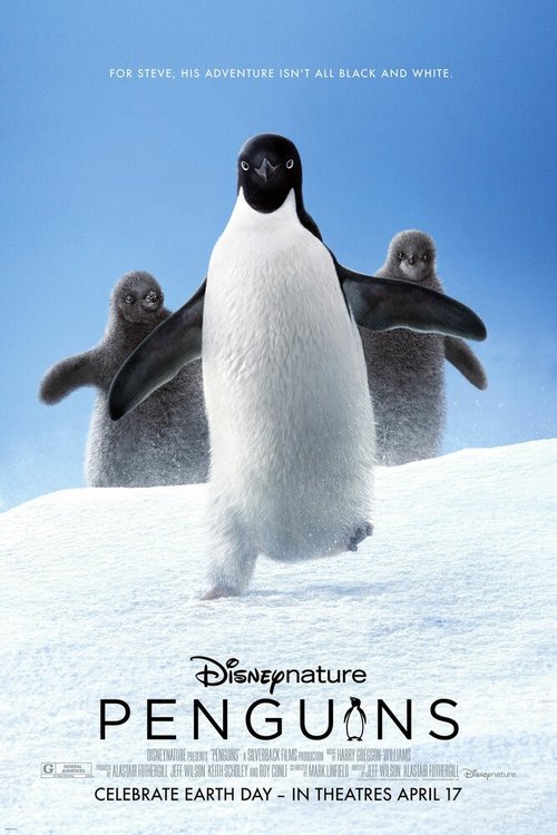 Постер Пингвины