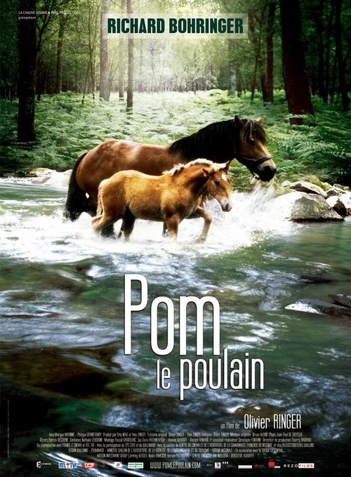 Постер Pom, le poulain