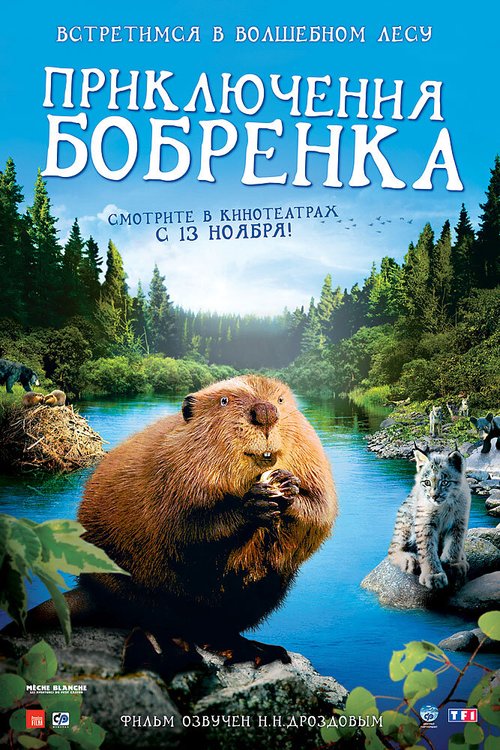 Постер Приключения бобрёнка