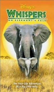 Постер Приключения слона