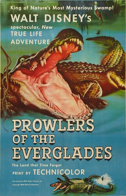 Постер Prowlers of the Everglades
