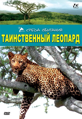 Постер Таинственный леопард