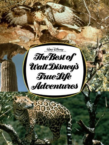 Постер The Best of Walt Disney's True-Life Adventures
