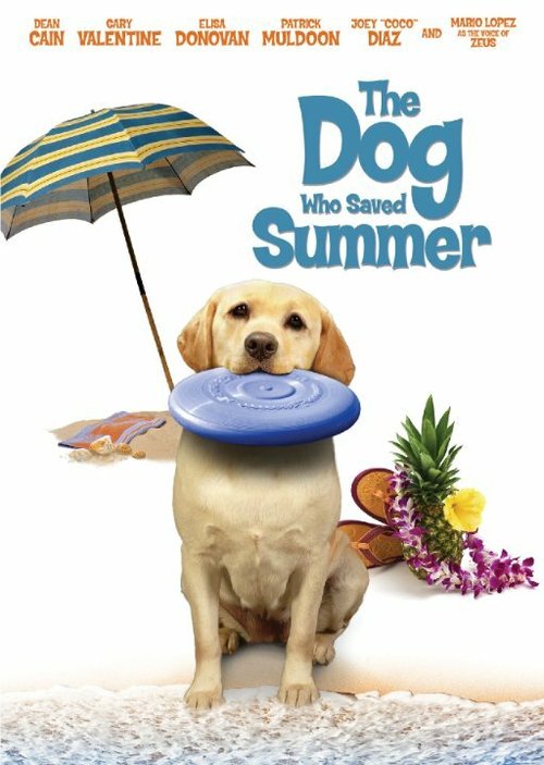 Постер The Dog Who Saved Summer