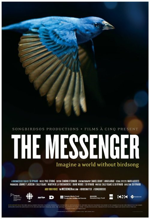 Постер The Messenger