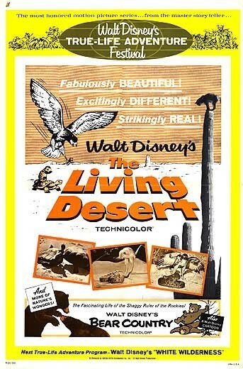 Постер Живая пустыня
