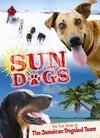 Постер Sun Dogs