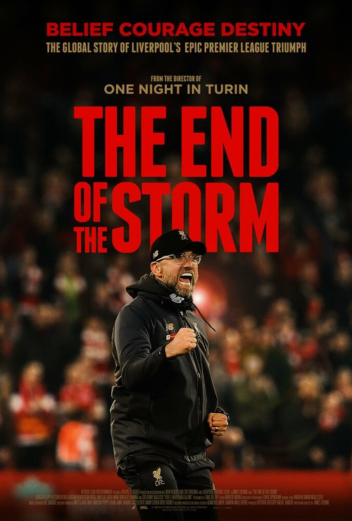 Постер The End of the Storm