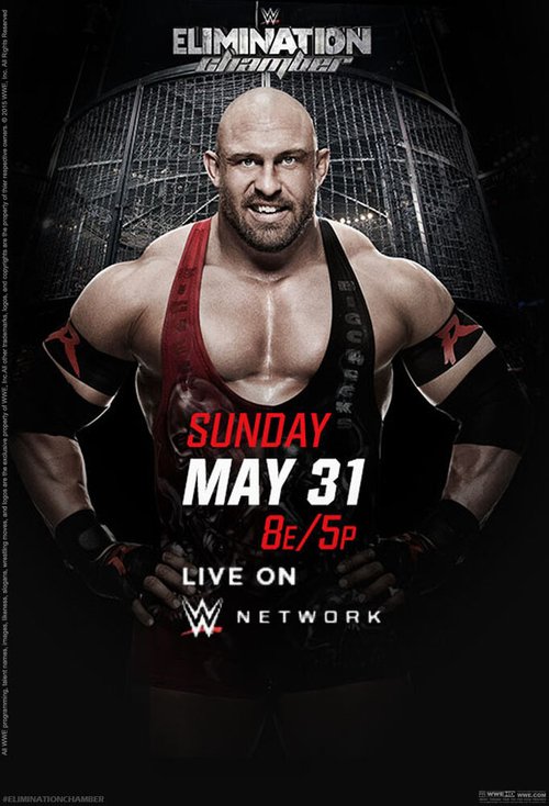 Постер WWE Камера ликвидации