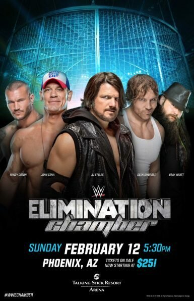 Постер WWE Камера ликвидации