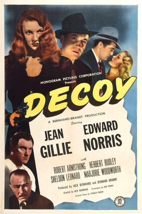 Постер Decoy
